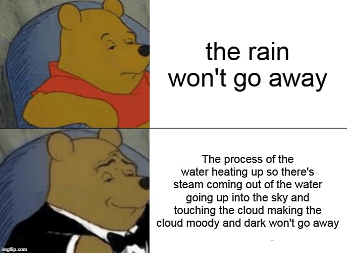 Tuxedo Winnie The Pooh | the rain won't go away; The process of the water heating up so there's steam coming out of the water going up into the sky and touching the cloud making the cloud moody and dark won't go away | image tagged in memes,tuxedo winnie the pooh | made w/ Imgflip meme maker