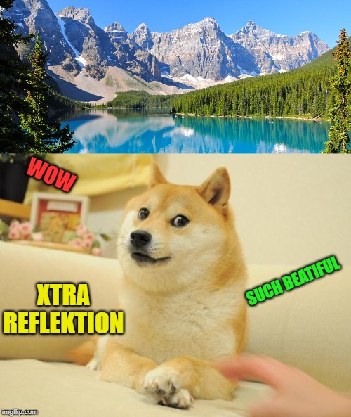 WOW; SUCH BEATIFUL; XTRA REFLEKTION | image tagged in memes,doge 2 | made w/ Imgflip meme maker