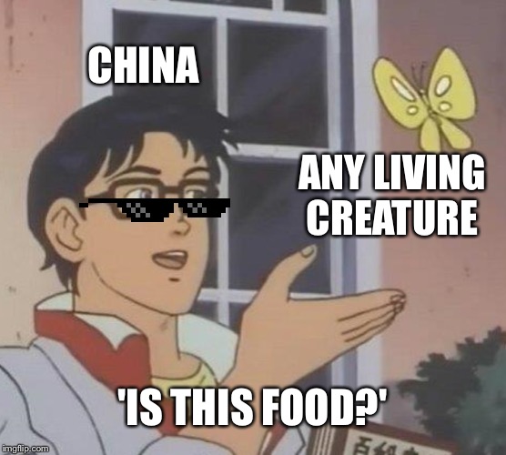 Is This A Pigeon | CHINA; ANY LIVING CREATURE; 'IS THIS FOOD?' | image tagged in memes,is this a pigeon | made w/ Imgflip meme maker