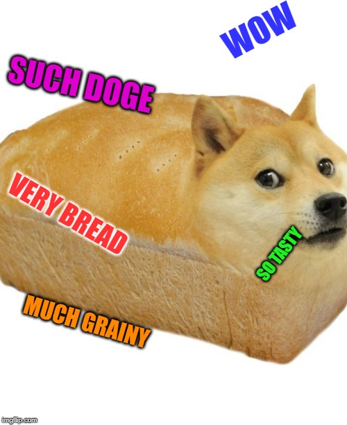 WOW; SUCH DOGE; VERY BREAD; SO TASTY; MUCH GRAINY | image tagged in doge,memes,wow | made w/ Imgflip meme maker