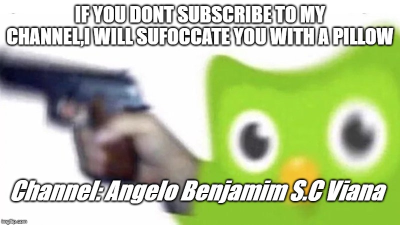 duolingo gun | IF YOU DONT SUBSCRIBE TO MY CHANNEL,I WILL SUFOCCATE YOU WITH A PILLOW; Channel: Angelo Benjamim S.C Viana | image tagged in duolingo gun | made w/ Imgflip meme maker