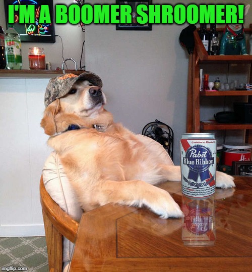 I'M A BOOMER SHROOMER! | made w/ Imgflip meme maker