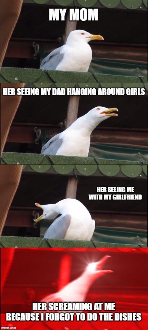 Inhaling Seagull | MY MOM; HER SEEING MY DAD HANGING AROUND GIRLS; HER SEEING ME WITH MY GIRLFRIEND; HER SCREAMING AT ME BECAUSE I FORGOT TO DO THE DISHES | image tagged in memes,inhaling seagull | made w/ Imgflip meme maker