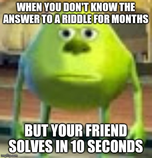 Sully Wazowski | WHEN YOU DON'T KNOW THE ANSWER TO A RIDDLE FOR MONTHS; BUT YOUR FRIEND SOLVES IN 10 SECONDS | image tagged in sully wazowski | made w/ Imgflip meme maker