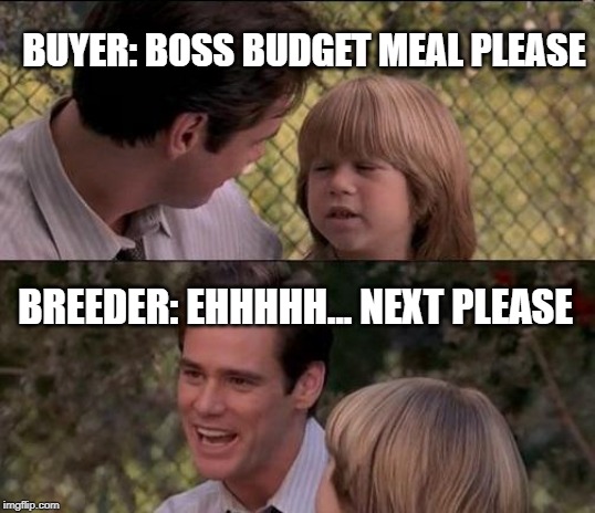 That's Just Something X Say | BUYER: BOSS BUDGET MEAL PLEASE; BREEDER: EHHHHH... NEXT PLEASE | image tagged in memes,thats just something x say | made w/ Imgflip meme maker