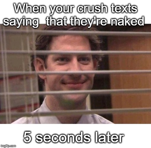 Jim Office Blinds | When your crush texts saying  that they're naked; 5 seconds later | image tagged in jim office blinds | made w/ Imgflip meme maker