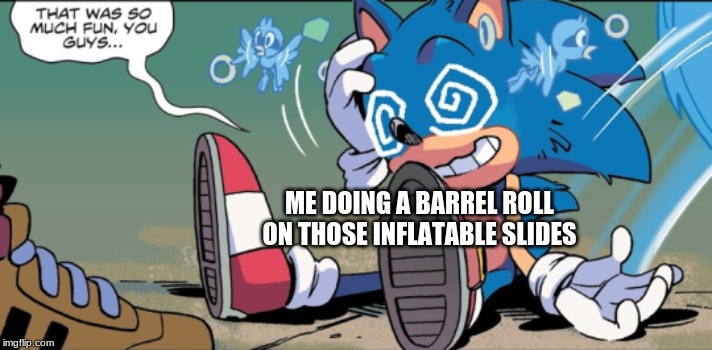 that was so much fun..... | ME DOING A BARREL ROLL ON THOSE INFLATABLE SLIDES | image tagged in that was so much fun | made w/ Imgflip meme maker