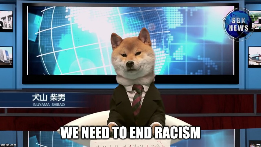 (school project) | WE NEED TO END RACISM | image tagged in shiba inu,doge,funny,memes | made w/ Imgflip meme maker