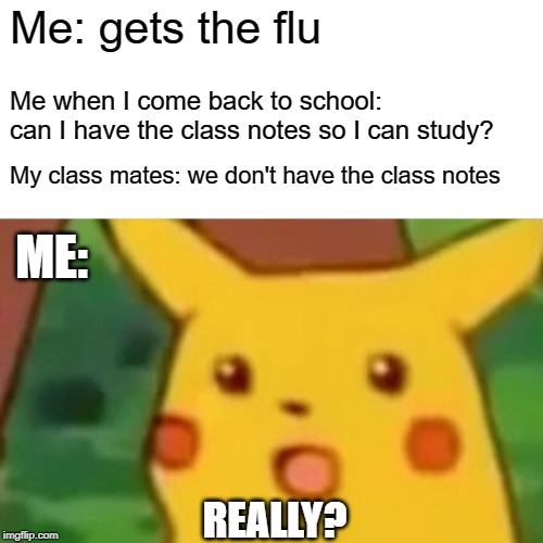 Surprised Pikachu | Me: gets the flu; Me when I come back to school: can I have the class notes so I can study? My class mates: we don't have the class notes; ME:; REALLY? | image tagged in memes,surprised pikachu | made w/ Imgflip meme maker
