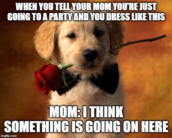 I'm not going on date | WHEN YOU TELL YOUR MOM YOU'RE JUST GOING TO A PARTY AND YOU DRESS LIKE THIS; MOM: I THINK SOMETHING IS GOING ON HERE | image tagged in dating sucks,puppy love | made w/ Imgflip meme maker
