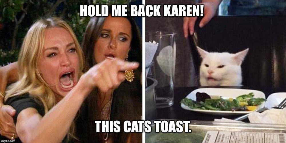 Smudge the cat | HOLD ME BACK KAREN! THIS CATS TOAST. | image tagged in smudge the cat | made w/ Imgflip meme maker