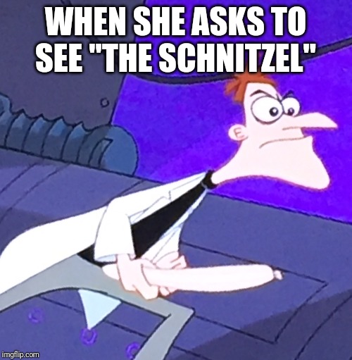 WHEN SHE ASKS TO SEE "THE SCHNITZEL" | image tagged in doofenshmirtz,phineas and ferb | made w/ Imgflip meme maker