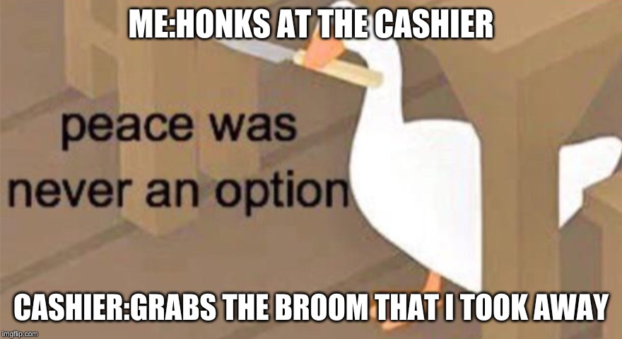 Untitled Goose Peace Was Never an Option | ME:HONKS AT THE CASHIER; CASHIER:GRABS THE BROOM THAT I TOOK AWAY | image tagged in untitled goose peace was never an option | made w/ Imgflip meme maker