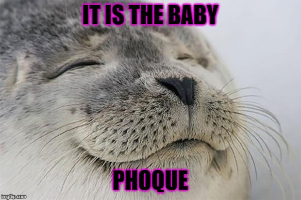 Satisfied Seal | IT IS THE BABY; PHOQUE | image tagged in memes,satisfied seal | made w/ Imgflip meme maker