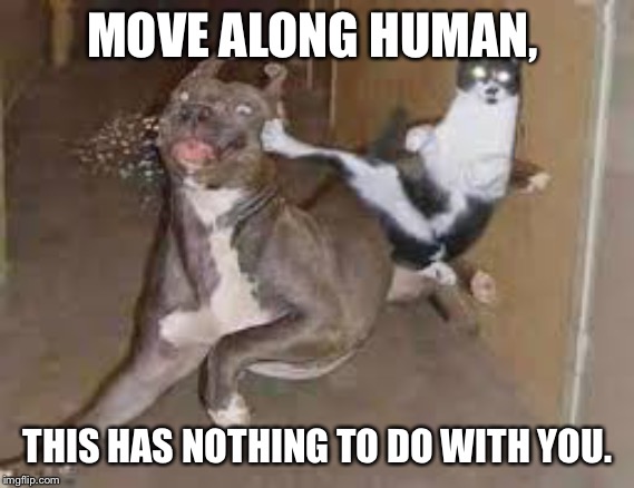did some one say ____???? | MOVE ALONG HUMAN, THIS HAS NOTHING TO DO WITH YOU. | image tagged in did some one say ____ | made w/ Imgflip meme maker
