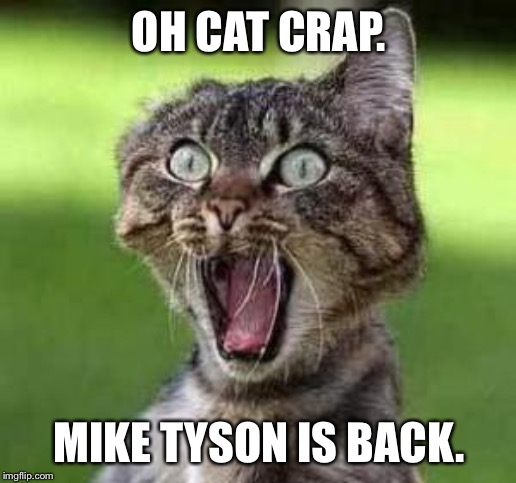 scared cat | OH CAT CRAP. MIKE TYSON IS BACK. | image tagged in scared cat | made w/ Imgflip meme maker