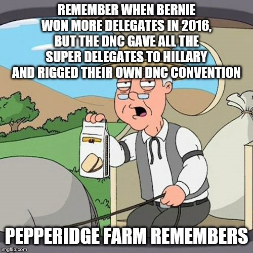 Pepperidge Farm Remembers | REMEMBER WHEN BERNIE WON MORE DELEGATES IN 2016, BUT THE DNC GAVE ALL THE SUPER DELEGATES TO HILLARY AND RIGGED THEIR OWN DNC CONVENTION; PEPPERIDGE FARM REMEMBERS | image tagged in memes,pepperidge farm remembers | made w/ Imgflip meme maker