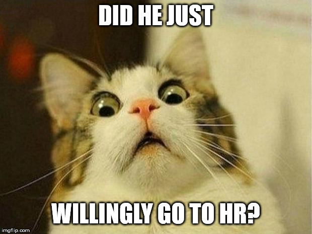 Scared Cat Meme | DID HE JUST; WILLINGLY GO TO HR? | image tagged in memes,scared cat | made w/ Imgflip meme maker