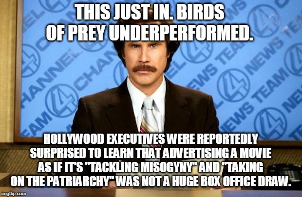 Surprise, surprise! | THIS JUST IN. BIRDS OF PREY UNDERPERFORMED. HOLLYWOOD EXECUTIVES WERE REPORTEDLY SURPRISED TO LEARN THAT ADVERTISING A MOVIE AS IF IT'S "TACKLING MISOGYNY" AND "TAKING ON THE PATRIARCHY" WAS NOT A HUGE BOX OFFICE DRAW. | image tagged in breaking news,memes,hollywood,hollyweird,politics,get woke go broke | made w/ Imgflip meme maker