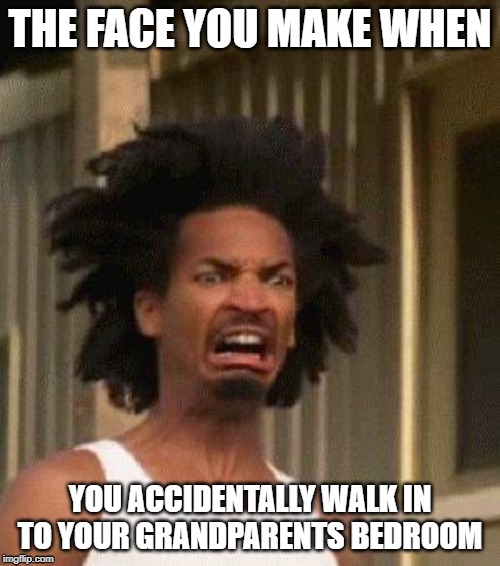 Disgusted Face | THE FACE YOU MAKE WHEN; YOU ACCIDENTALLY WALK IN TO YOUR GRANDPARENTS BEDROOM | image tagged in disgusted face | made w/ Imgflip meme maker