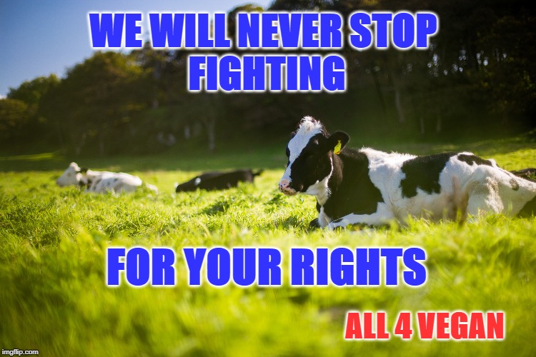 WE WILL NEVER STOP 
FIGHTING; FOR YOUR RIGHTS; ALL 4 VEGAN | image tagged in vegan,veganism | made w/ Imgflip meme maker