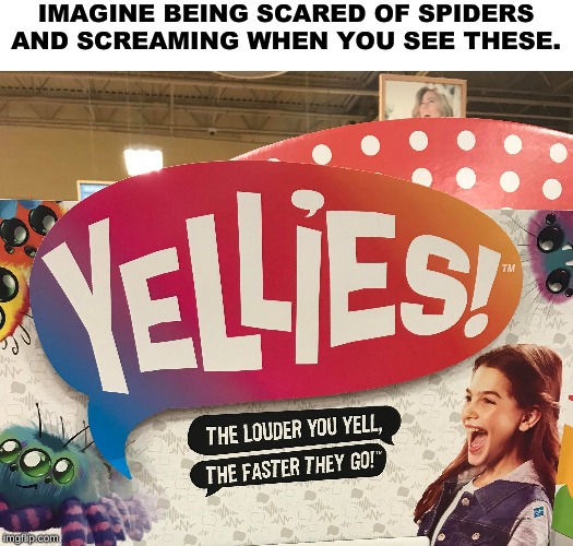 Scream=Runs Faster. | IMAGINE BEING SCARED OF SPIDERS AND SCREAMING WHEN YOU SEE THESE. | image tagged in spider | made w/ Imgflip meme maker