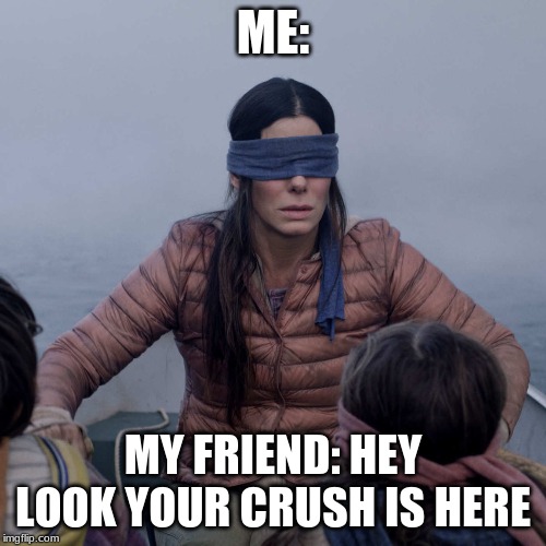 Bird Box Meme | ME:; MY FRIEND: HEY LOOK YOUR CRUSH IS HERE | image tagged in memes,bird box | made w/ Imgflip meme maker