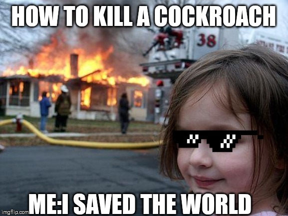 Disaster Girl | HOW TO KILL A COCKROACH; ME:I SAVED THE WORLD | image tagged in memes,disaster girl | made w/ Imgflip meme maker