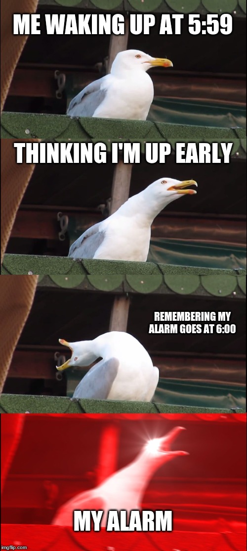 Inhaling Seagull | ME WAKING UP AT 5:59; THINKING I'M UP EARLY; REMEMBERING MY ALARM GOES AT 6:00; MY ALARM | image tagged in memes,inhaling seagull | made w/ Imgflip meme maker