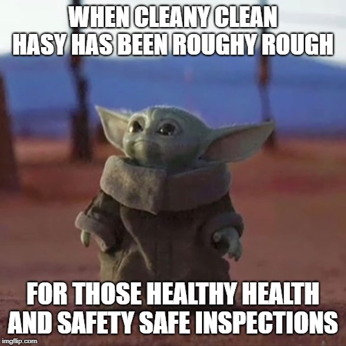 Baby Yoda | WHEN CLEANY CLEAN HASY HAS BEEN ROUGHY ROUGH; FOR THOSE HEALTHY HEALTH AND SAFETY SAFE INSPECTIONS | image tagged in baby yoda | made w/ Imgflip meme maker
