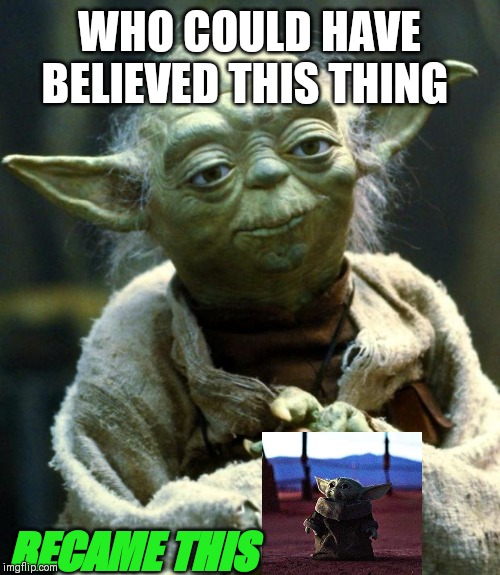 Star Wars Yoda Meme | WHO COULD HAVE BELIEVED THIS THING; BECAME THIS | image tagged in memes,star wars yoda | made w/ Imgflip meme maker