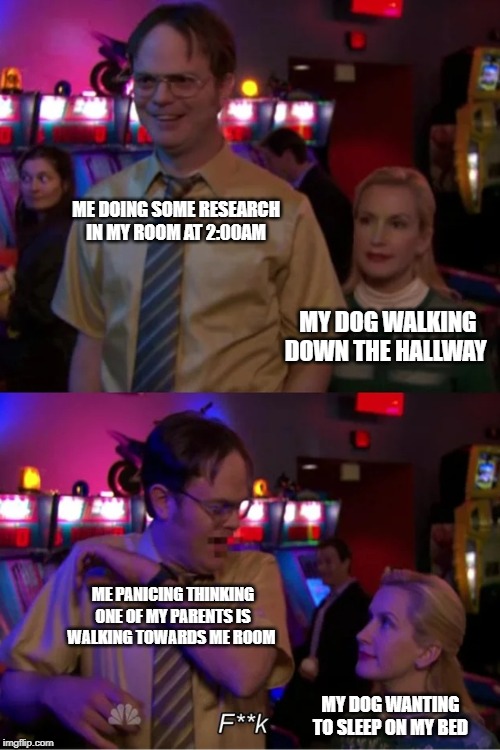 Angela Scares Dwight | ME DOING SOME RESEARCH IN MY ROOM AT 2:00AM; MY DOG WALKING DOWN THE HALLWAY; ME PANICING THINKING ONE OF MY PARENTS IS WALKING TOWARDS ME ROOM; MY DOG WANTING TO SLEEP ON MY BED | image tagged in angela scares dwight,research purposes | made w/ Imgflip meme maker
