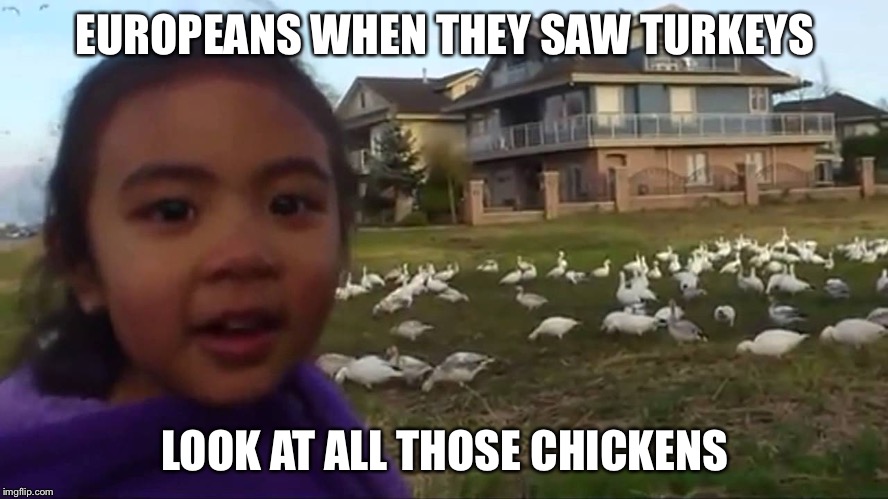 Look at All Those Chickens | EUROPEANS WHEN THEY SAW TURKEYS; LOOK AT ALL THOSE CHICKENS | image tagged in look at all those chickens | made w/ Imgflip meme maker