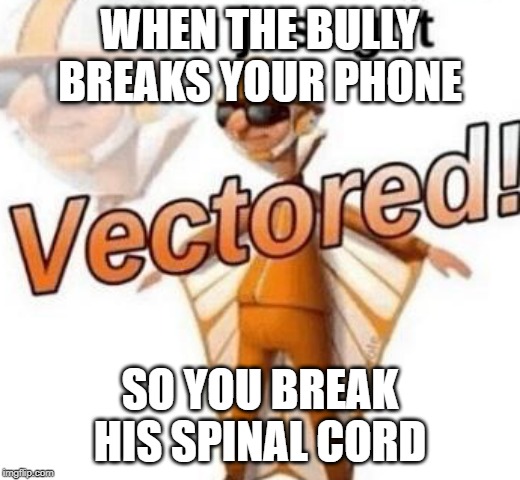 You just got vectored | WHEN THE BULLY BREAKS YOUR PHONE; SO YOU BREAK HIS SPINAL CORD | image tagged in you just got vectored | made w/ Imgflip meme maker