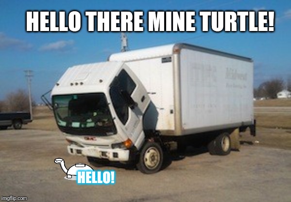 Okay Truck | HELLO THERE MINE TURTLE! HELLO! | image tagged in memes,okay truck,mine turtle | made w/ Imgflip meme maker