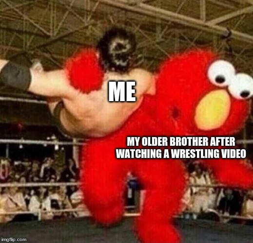 ME; MY OLDER BROTHER AFTER WATCHING A WRESTLING VIDEO | image tagged in elmo | made w/ Imgflip meme maker