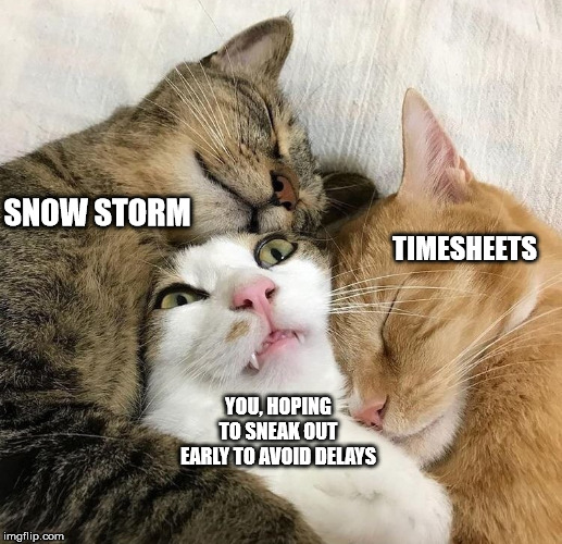 Cat Map | SNOW STORM; TIMESHEETS; YOU, HOPING TO SNEAK OUT EARLY TO AVOID DELAYS | image tagged in cat map | made w/ Imgflip meme maker
