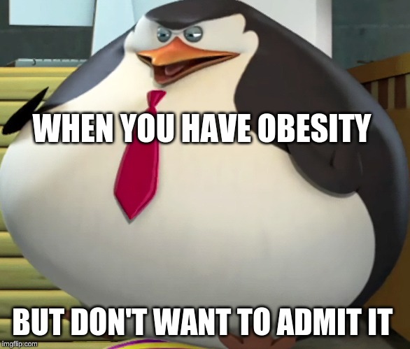 WHEN YOU HAVE OBESITY; BUT DON'T WANT TO ADMIT IT | image tagged in funny memes | made w/ Imgflip meme maker
