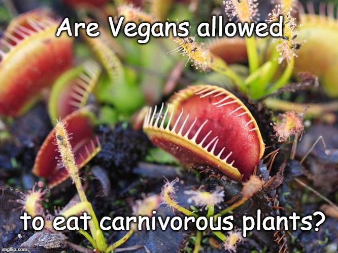 Vegan Flytrap | Are Vegans allowed; to eat carnivorous plants? | image tagged in vegan,carnivore | made w/ Imgflip meme maker