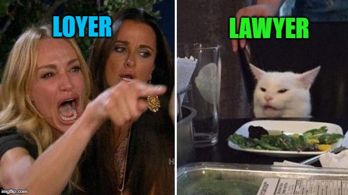 Angry lady cat | LOYER LAWYER | image tagged in angry lady cat | made w/ Imgflip meme maker