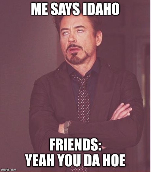 Face You Make Robert Downey Jr | ME SAYS IDAHO; FRIENDS: YEAH YOU DA HOE | image tagged in memes,face you make robert downey jr | made w/ Imgflip meme maker