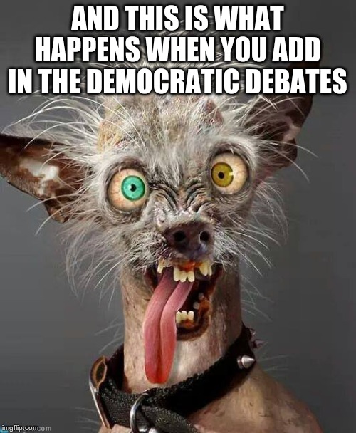 Crazy Dog | AND THIS IS WHAT HAPPENS WHEN YOU ADD IN THE DEMOCRATIC DEBATES | image tagged in crazy dog | made w/ Imgflip meme maker