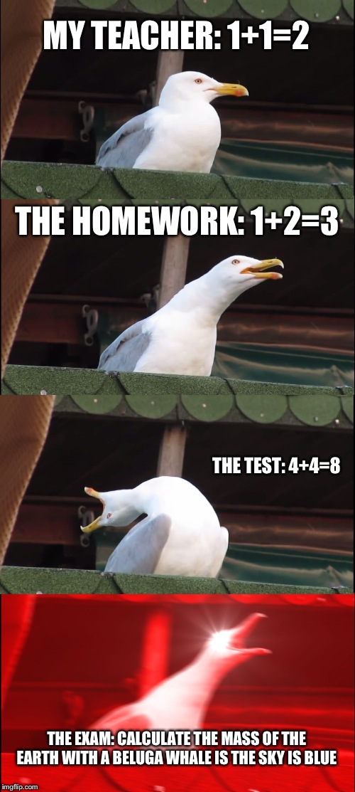 Inhaling Seagull | MY TEACHER: 1+1=2; THE HOMEWORK: 1+2=3; THE TEST: 4+4=8; THE EXAM: CALCULATE THE MASS OF THE EARTH WITH A BELUGA WHALE IS THE SKY IS BLUE | image tagged in memes,inhaling seagull | made w/ Imgflip meme maker