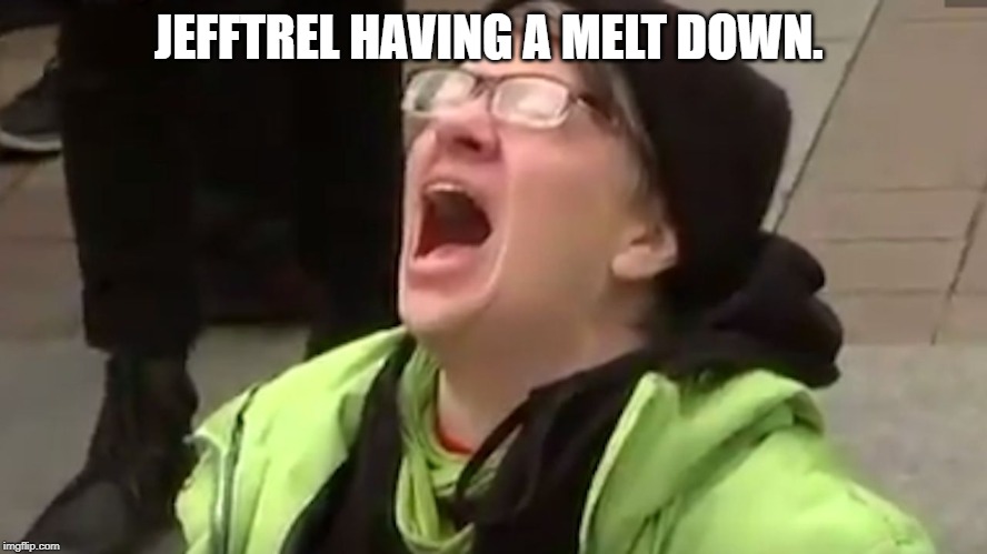 Screaming Liberal  | JEFFTREL HAVING A MELT DOWN. | image tagged in screaming liberal | made w/ Imgflip meme maker