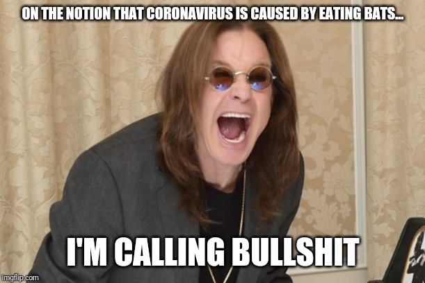 Ozzy Osbourne Yell | ON THE NOTION THAT CORONAVIRUS IS CAUSED BY EATING BATS... I'M CALLING BULLSHIT | image tagged in ozzy osbourne yell | made w/ Imgflip meme maker