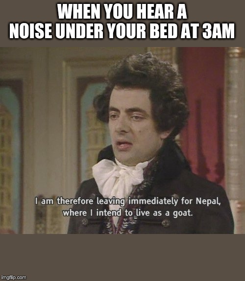 I am therefore leaving immediately for Nepal | WHEN YOU HEAR A NOISE UNDER YOUR BED AT 3AM | image tagged in i am therefore leaving immediately for nepal | made w/ Imgflip meme maker
