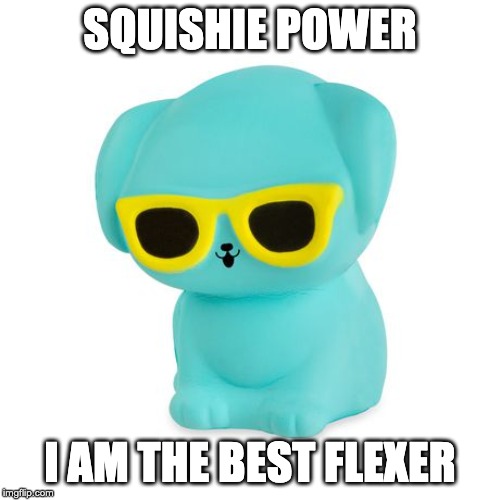 SQUISHIE POWER; I AM THE BEST FLEXER | image tagged in funny | made w/ Imgflip meme maker