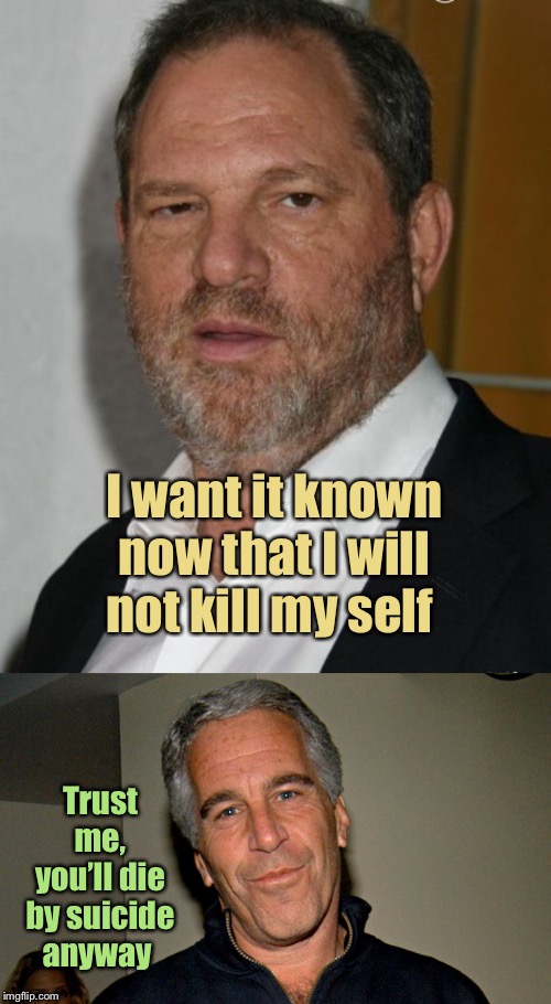 I want it known now that I will not kill my self Trust me, you’ll die by suicide anyway | image tagged in harvey weinstein,jeffrey epstein | made w/ Imgflip meme maker