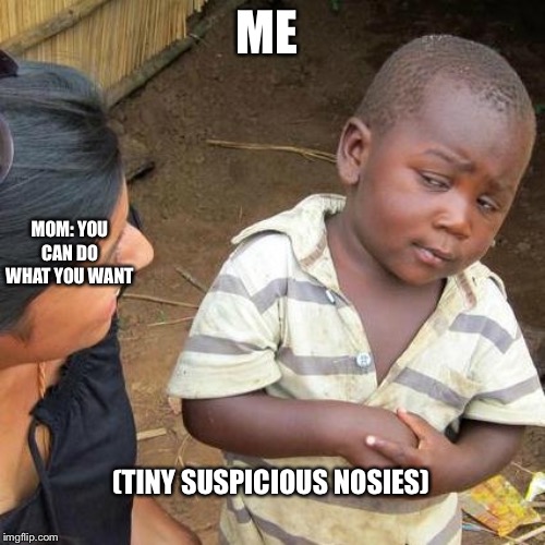 Third World Skeptical Kid | ME; MOM: YOU CAN DO WHAT YOU WANT; (TINY SUSPICIOUS NOSIES) | image tagged in memes,third world skeptical kid | made w/ Imgflip meme maker