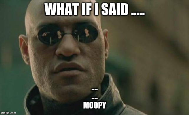 Matrix Morpheus | WHAT IF I SAID ..... ....
....
MOOPY | image tagged in memes,matrix morpheus | made w/ Imgflip meme maker